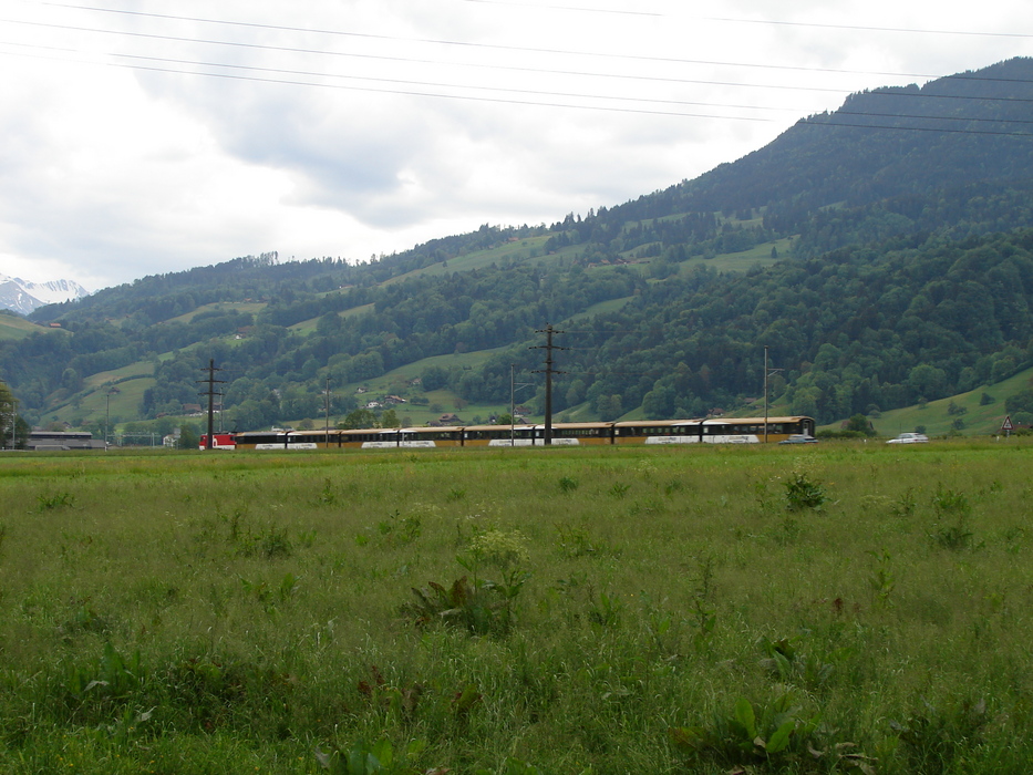So sehen die schweizer Züge aus