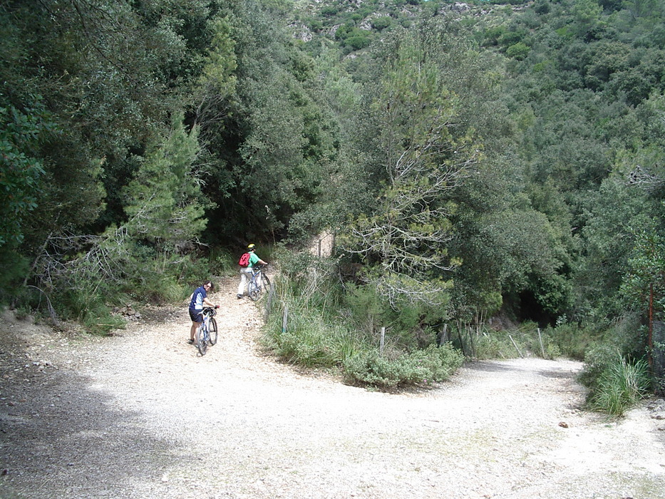 Grüner Aufstieg zum Puig de Galatzo